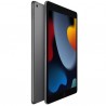 Apple iPad 10.2" 2021 WiFi 256GB gris espacial